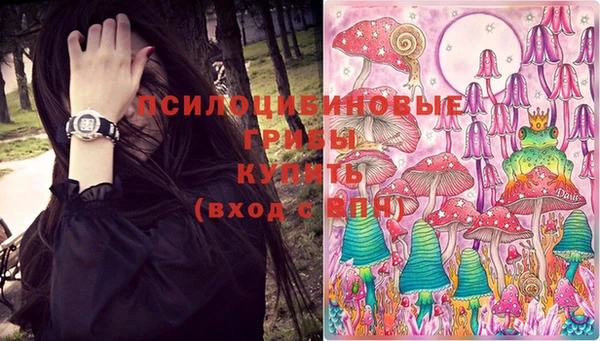 крисы Беломорск